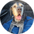 User avatar 4