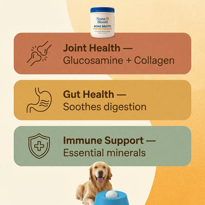BONE BROTH POWDER For Dogs