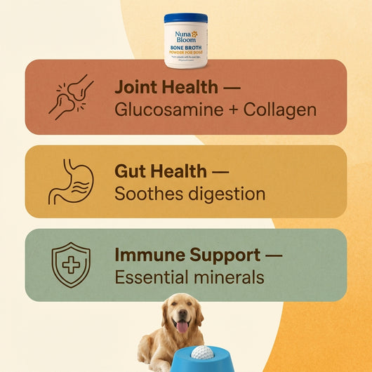 BONE BROTH POWDER For Dogs