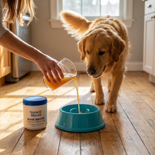 BONE BROTH POWDER For Dogs
