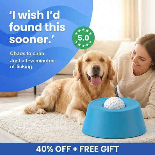 Slow Feeder Dog Bowl