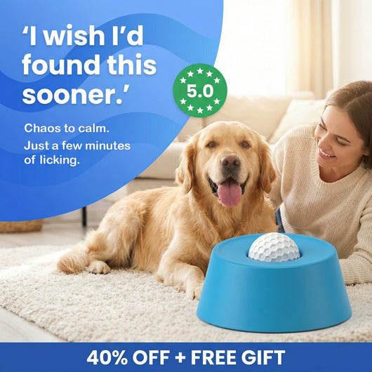 Slow Feeder Dog Bowl