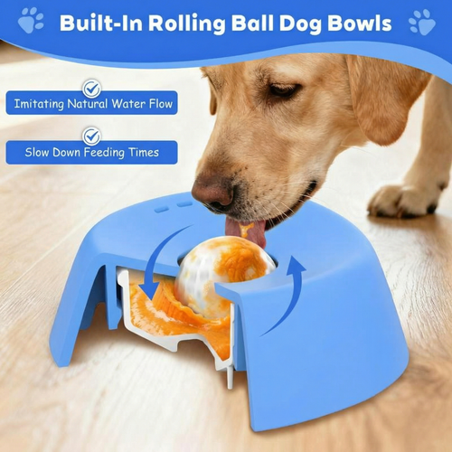 Slow Feeder Dog Bowl