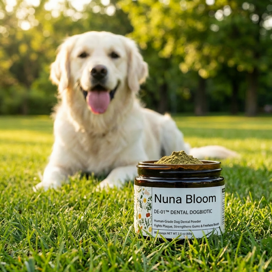 Nuna Dental Dogbiotic
