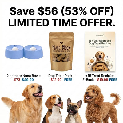 Slow Feeder Dog Bowl