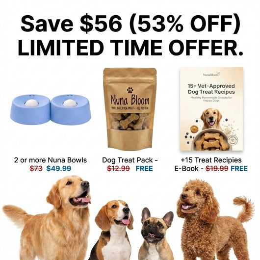 Slow Feeder Dog Bowl